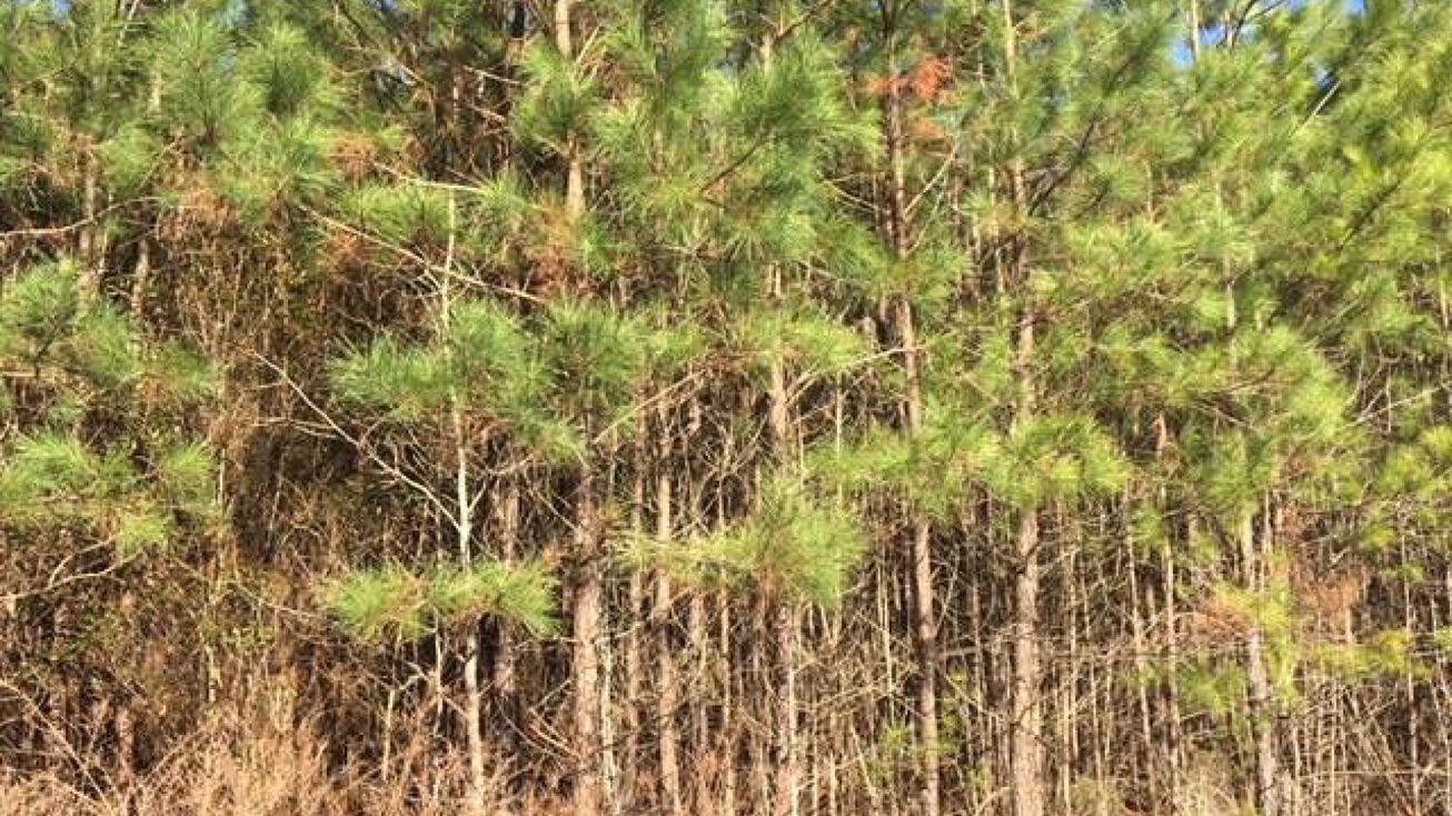 HEATHSVILLE, Heathsville, VA 22473