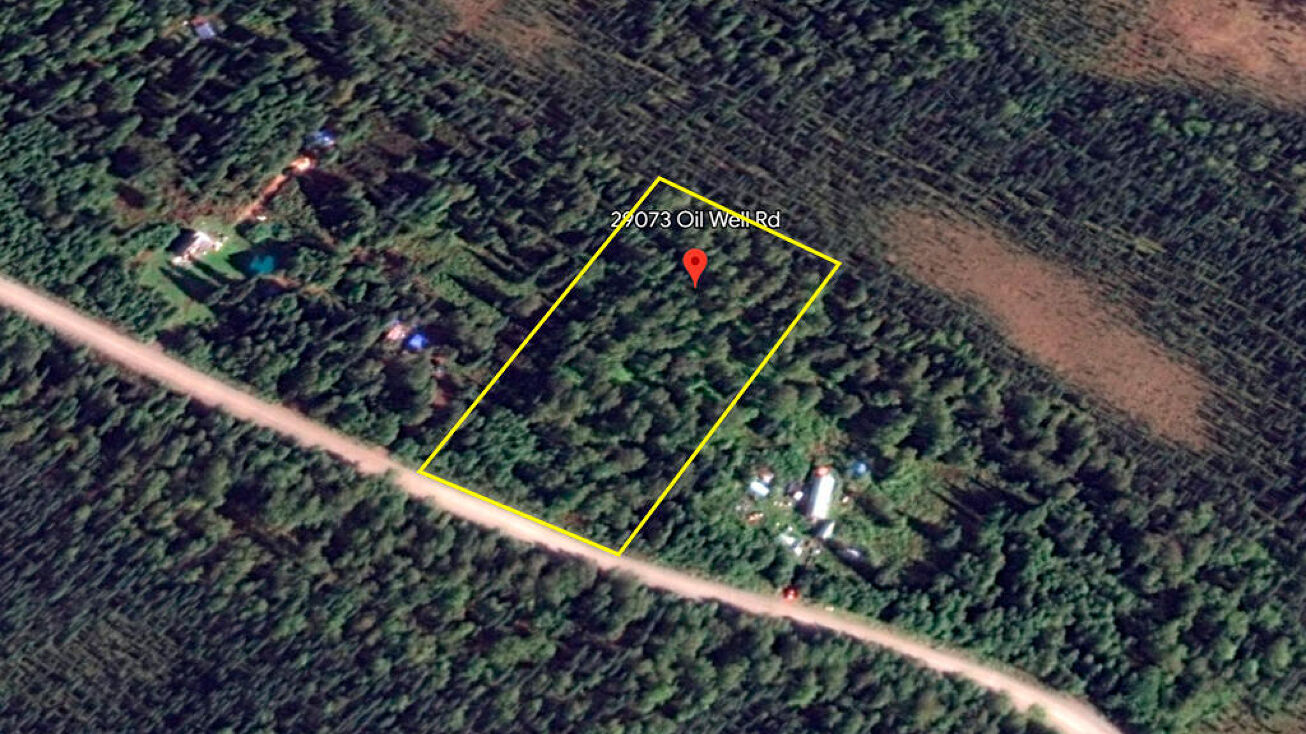 29073 S Oilwell, Trapper Creek, AK 99683