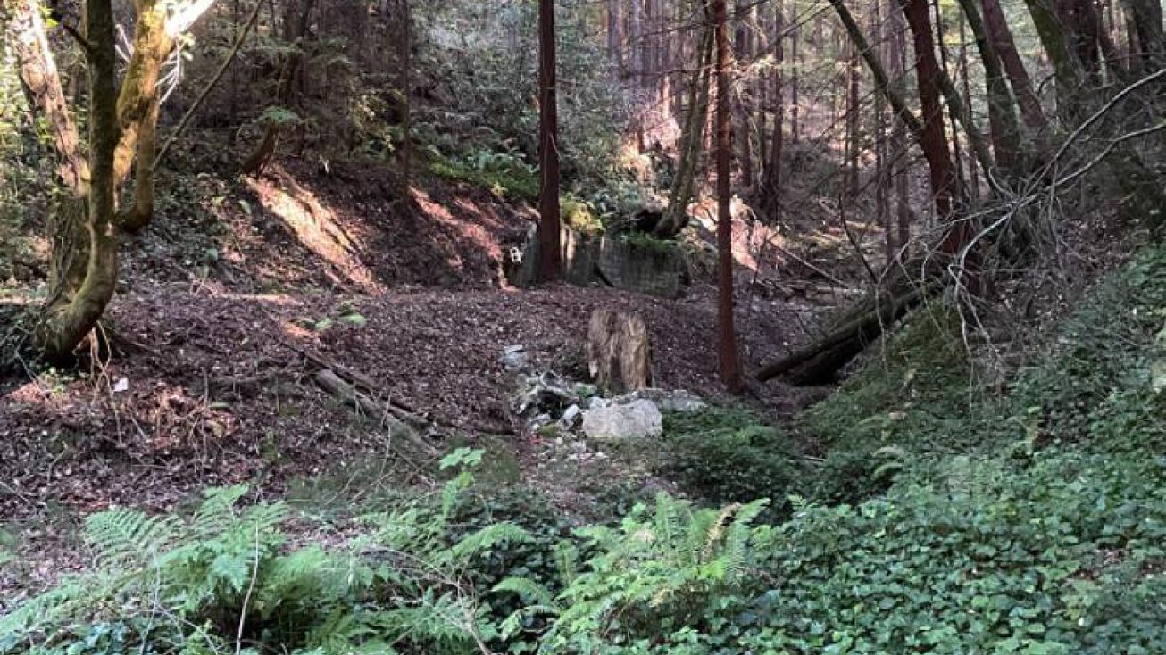 264 Dearborn Park Rd, Pescadero, CA 94060