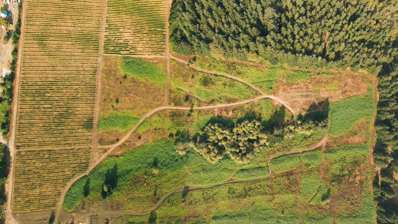 Bolton Hill Rd, OR 97487