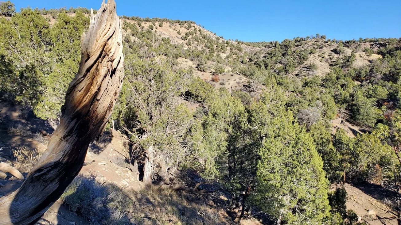 X CR 500 (Trujillo Rd), Arboles, CO 81121