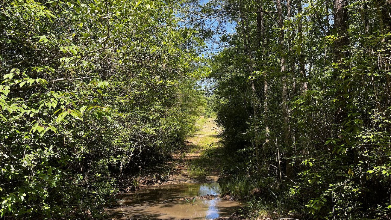 Parrish Rd, Bonifay, FL 32425