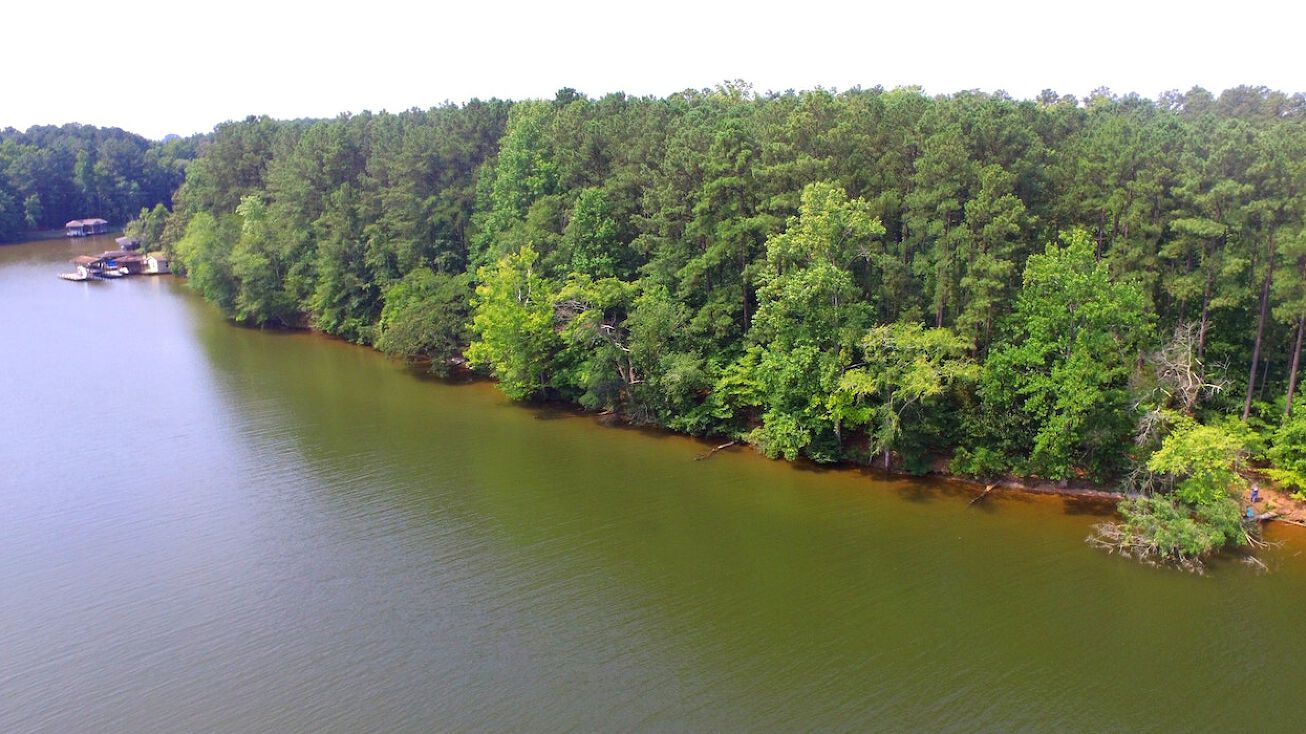 Lake Tillery Rd, Lake Tillery, NC 28001