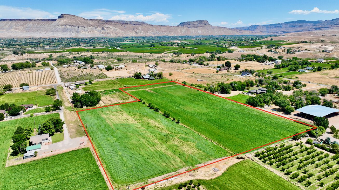 3429 D Rd, Palisade, CO 81526