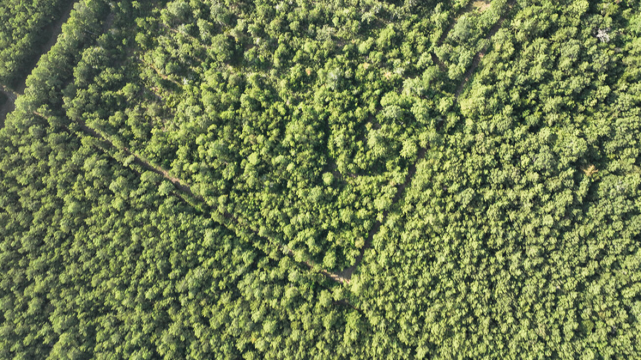 0 Upper Leggett Rd, Leggett, TX 77351