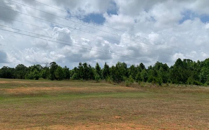 Pictures of Land property located at 19600 Block US-43, Grove Hill, AL 36451 for sales - image #1