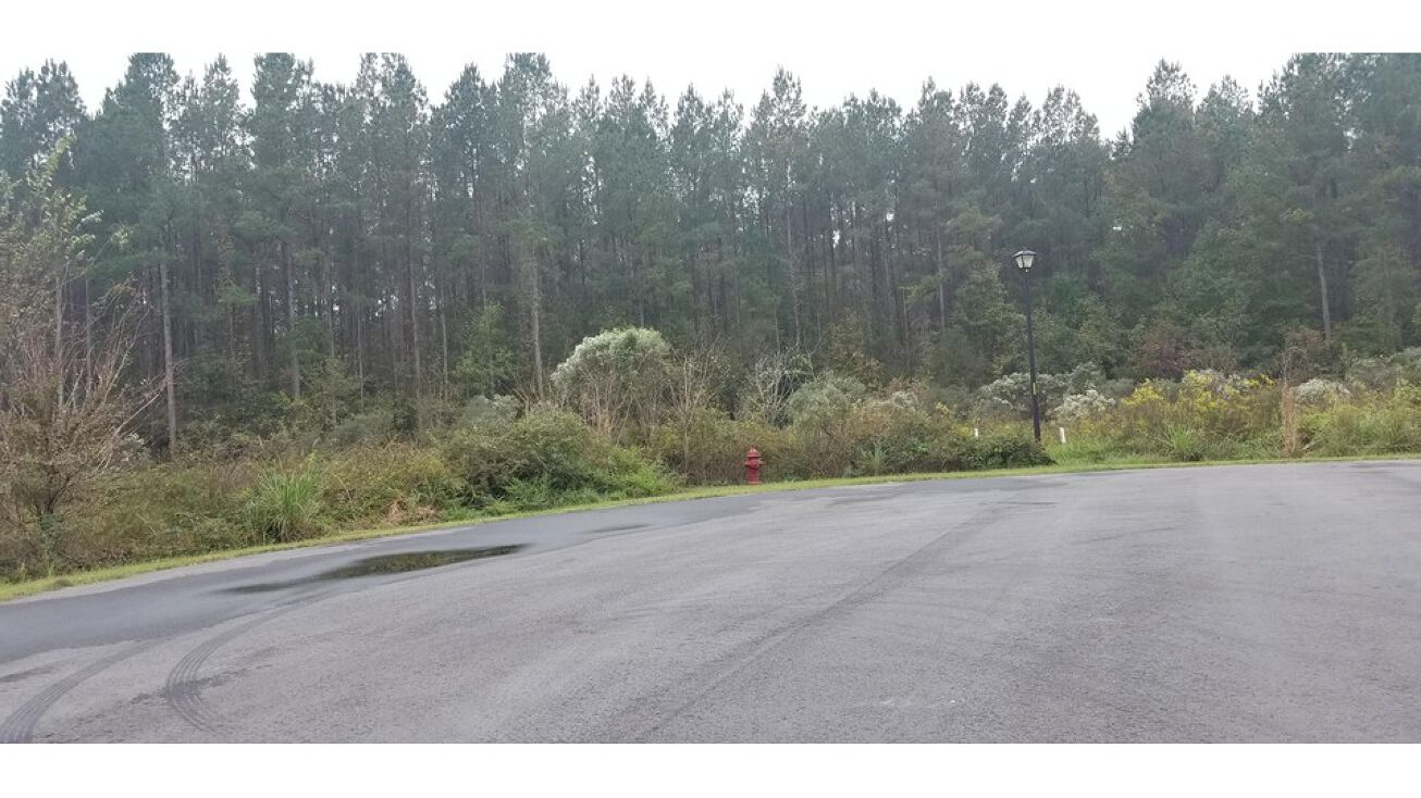 1334 Wood Sorrel Dr, Moncks Corner, SC 29461