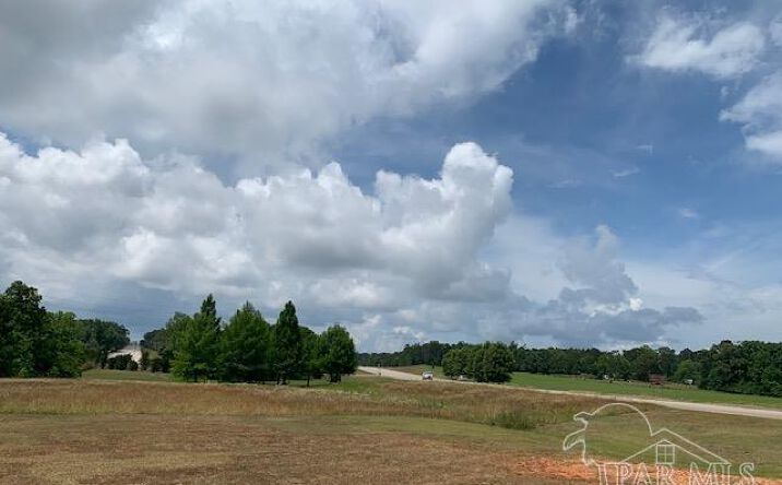 Pictures of Land property located at 15000 Block S Old Highway 5, Thomasville, AL 36451 for sales - image #1