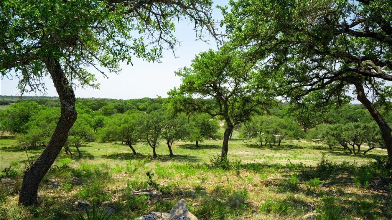 0 Mystic Overlook Loop, Dripping Springs, TX 78620 | Crexi.com