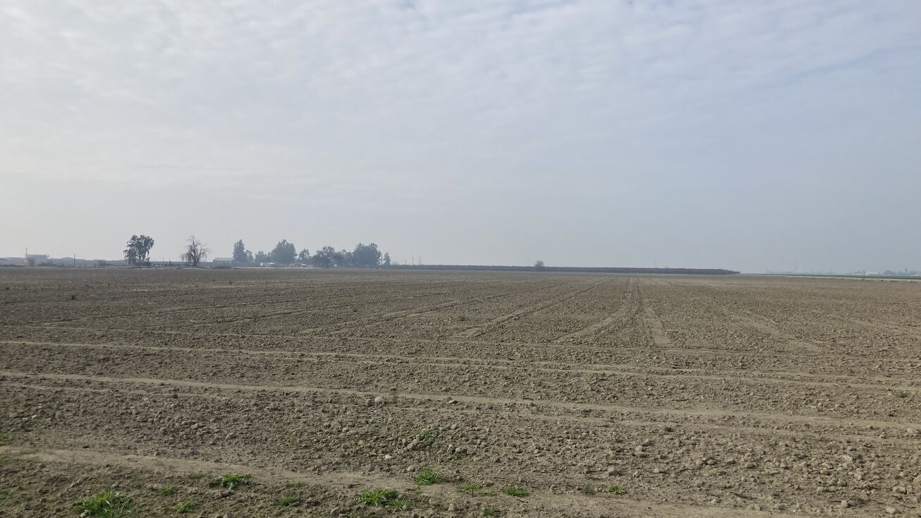 20573 Sherrill St, Riverdale, CA 93656