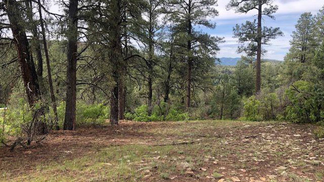 X CR 335 Pagosa Springs, Pagosa Springs, CO 81147 | Crexi.com