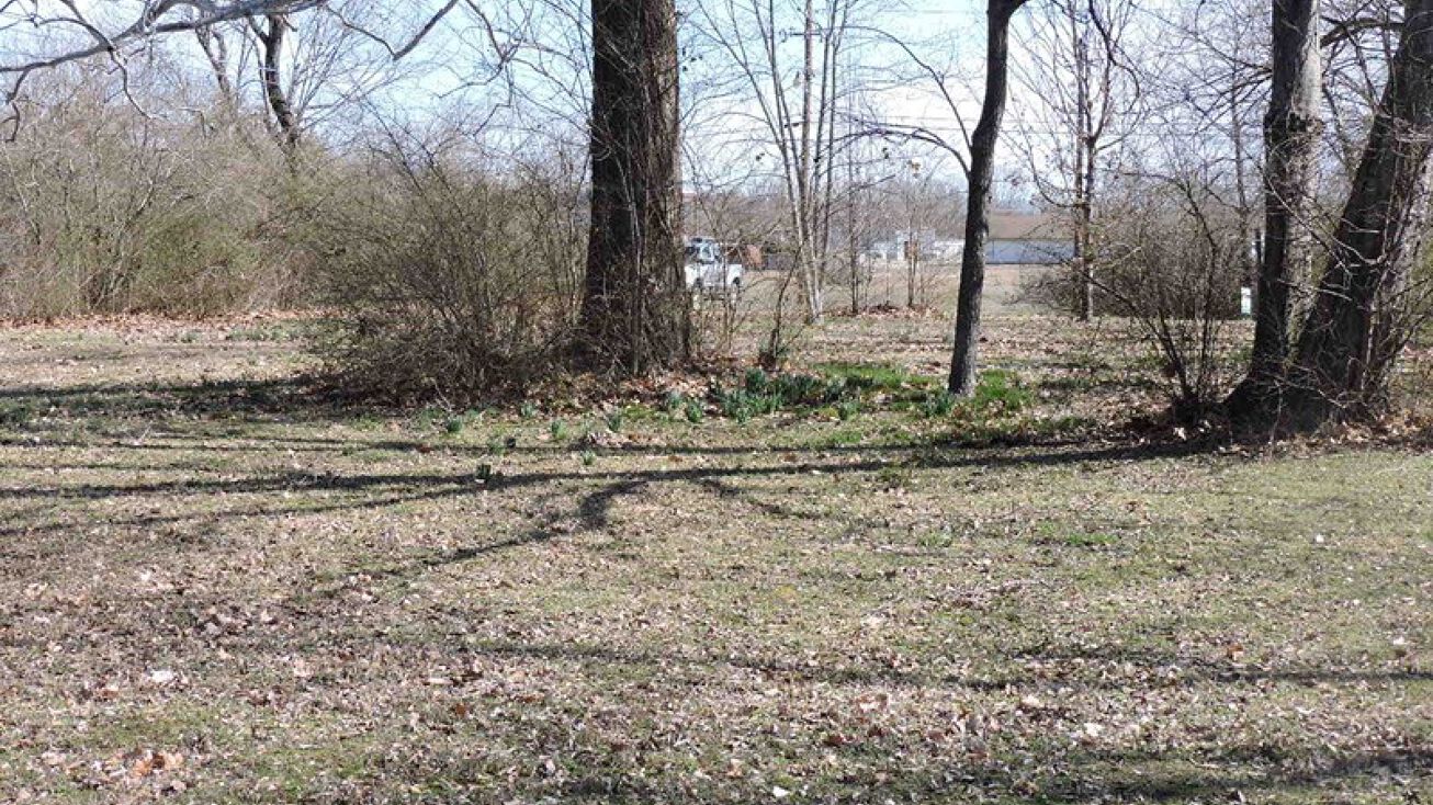 164 Pine St, Waldron, AR 72958