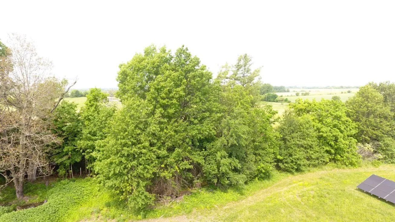 5905 NE Cood Drive, Weatherby, MO 64497