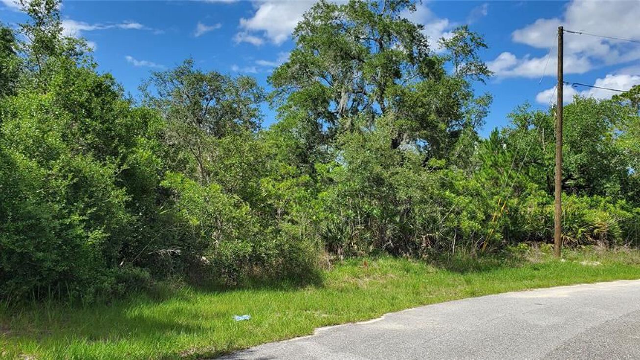 1627 Pickerel Ct, Poinciana, FL 34759