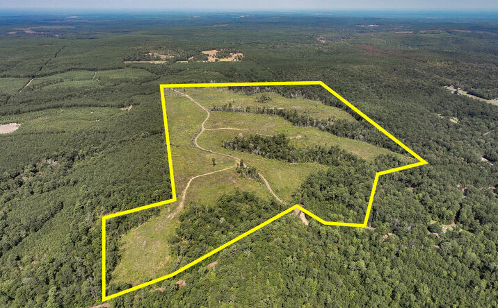 Pictures of Land property located at 1 County Road 3725, Dam B, TX 75938 for sales - image #1