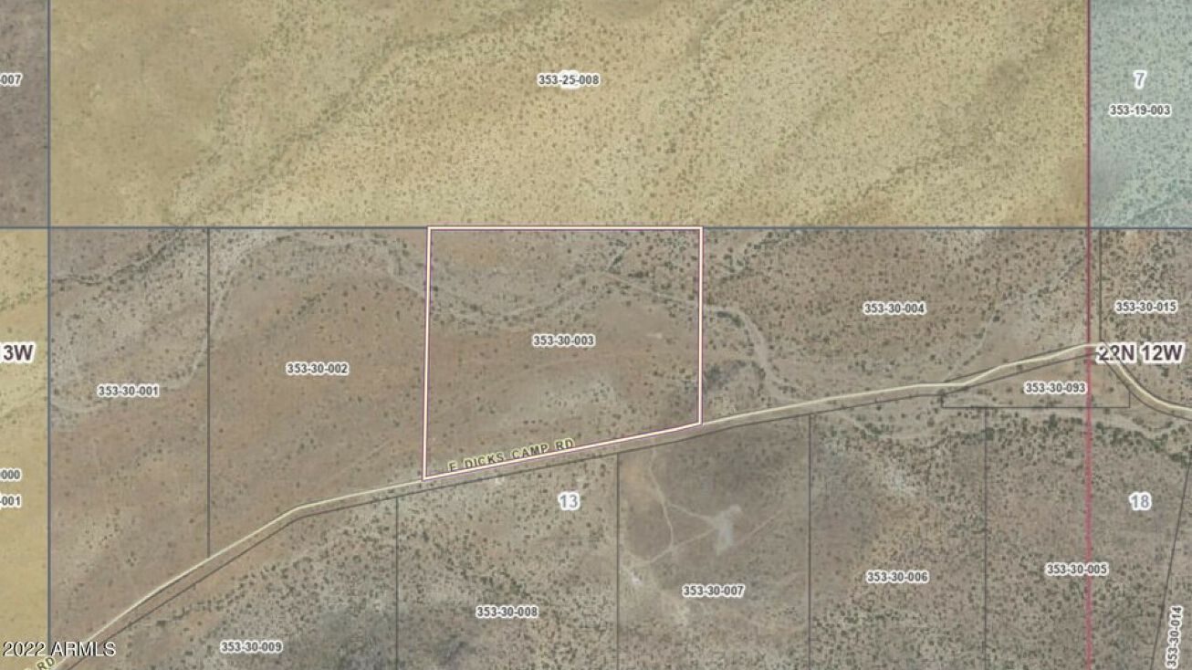 Dicks Camp Rd, Hackberry, AZ 86411