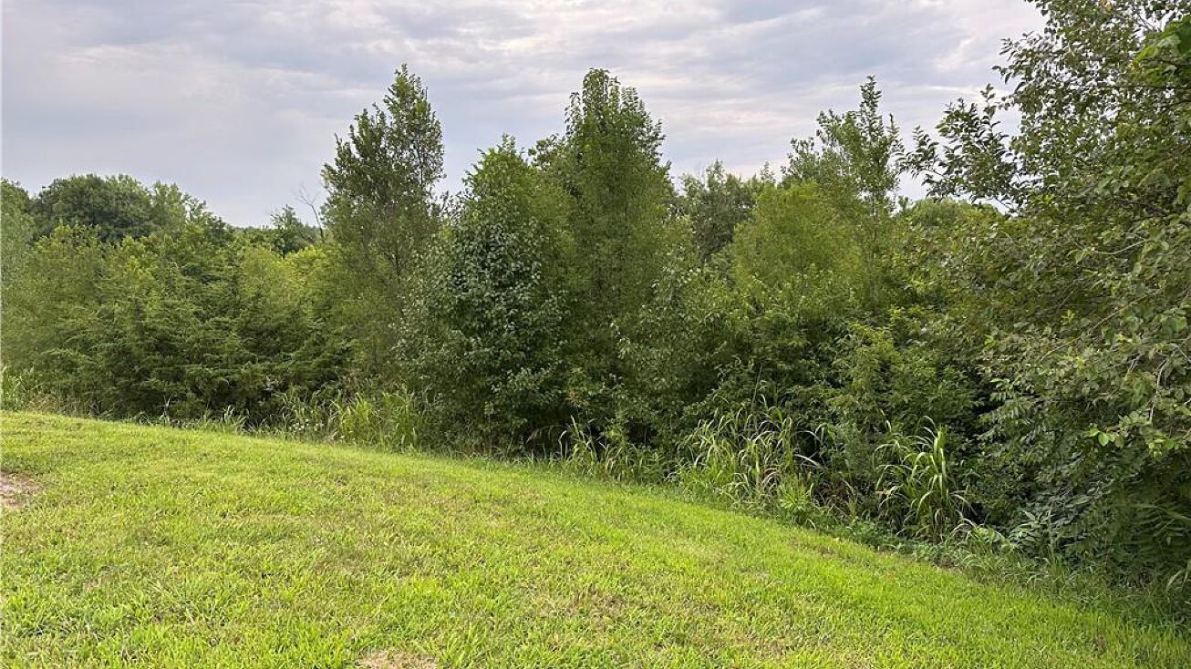 Hithergreen Drive, Lansing, KS 66043