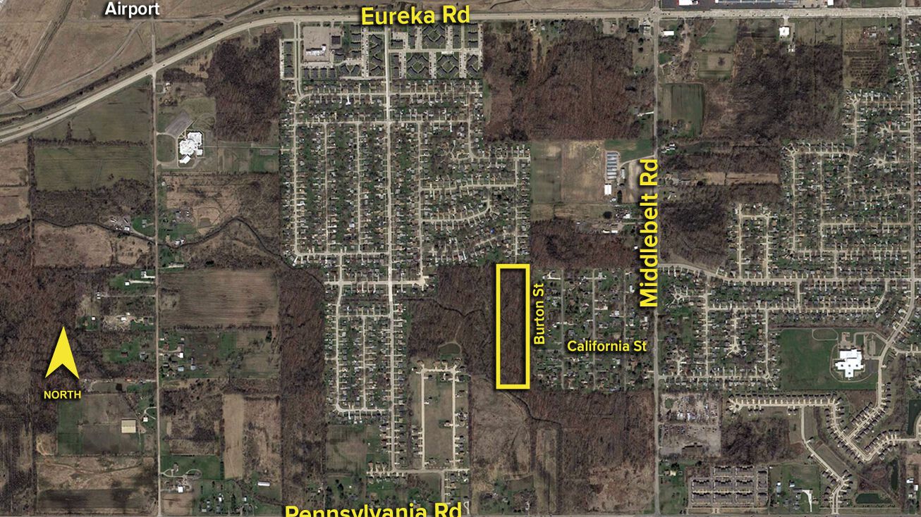 Burton St, Romulus, MI 48174