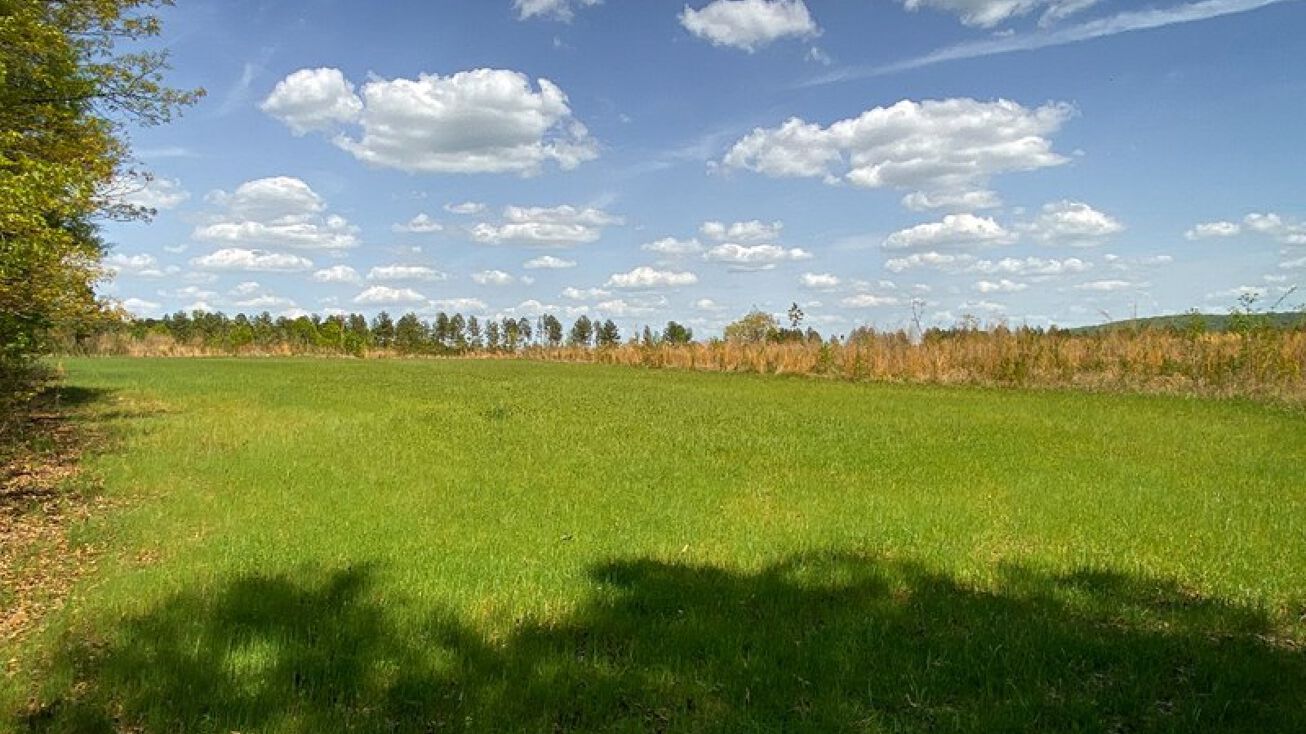 232 AC Stoney Point Dr, Lexington, NC 27292