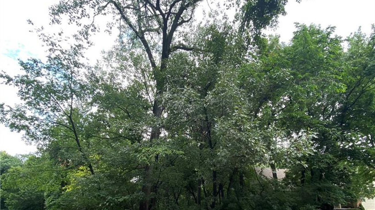 Robinhood Lane, Kansas City, MO 64151