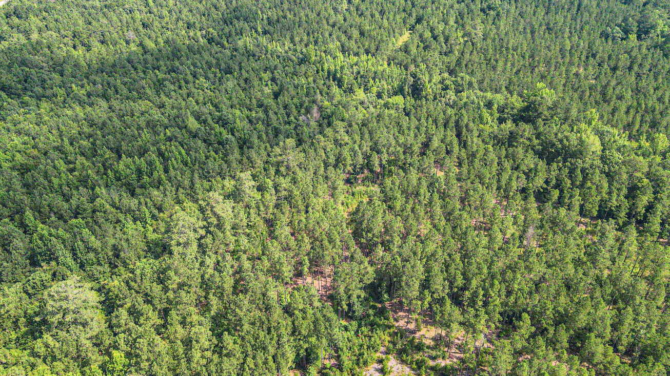 Berry Farm Road, Carlisle, SC 29301