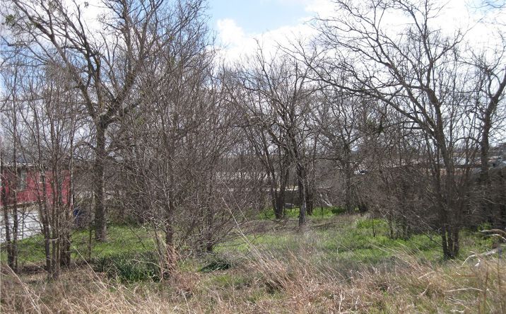 Pictures of Land property located at 0 Sturgis Street, Taylor, TX 76574 for sales - image #1