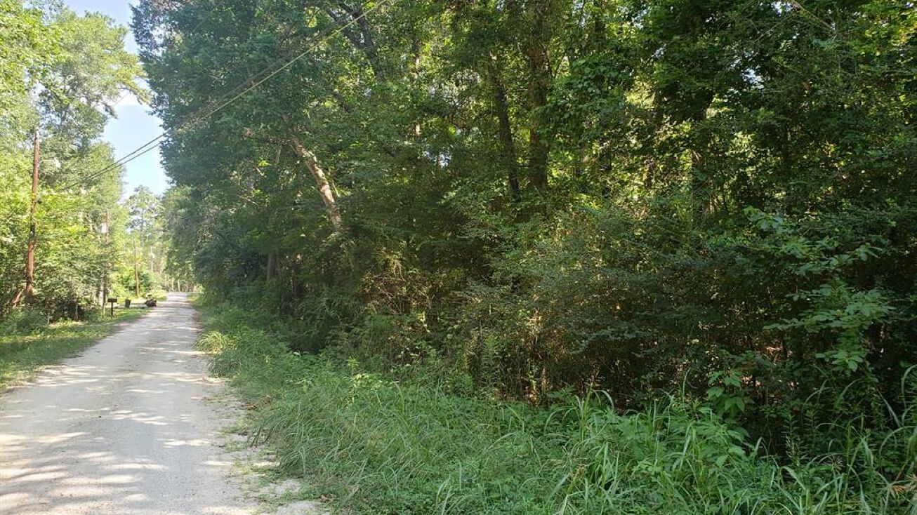 130 Lillian Dr, Livingston, TX 77351