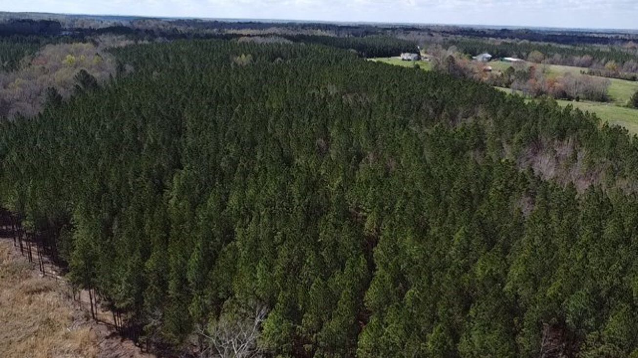 1074 Throckmorton Trail, Scottsburg, VA 24589