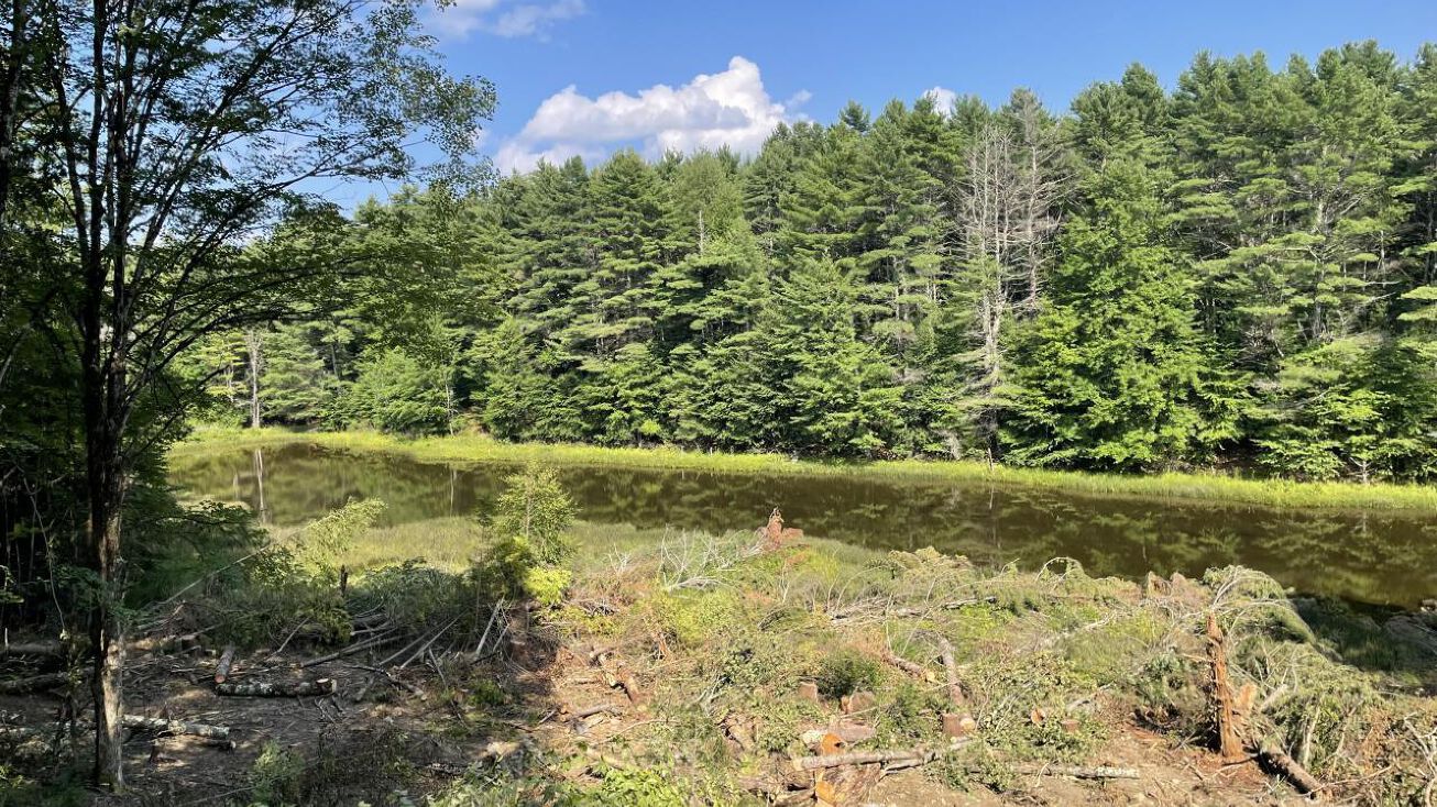 0 Hulett Road, Granville, NY 12832