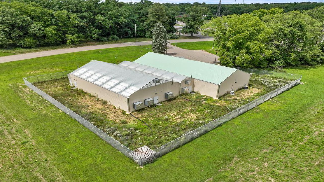 902 Burstein Dr, Albion, MI 49224