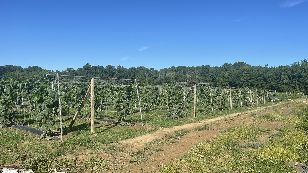 248 Bordentown Chesterfield Rd, Chesterfield Township, NJ 08515