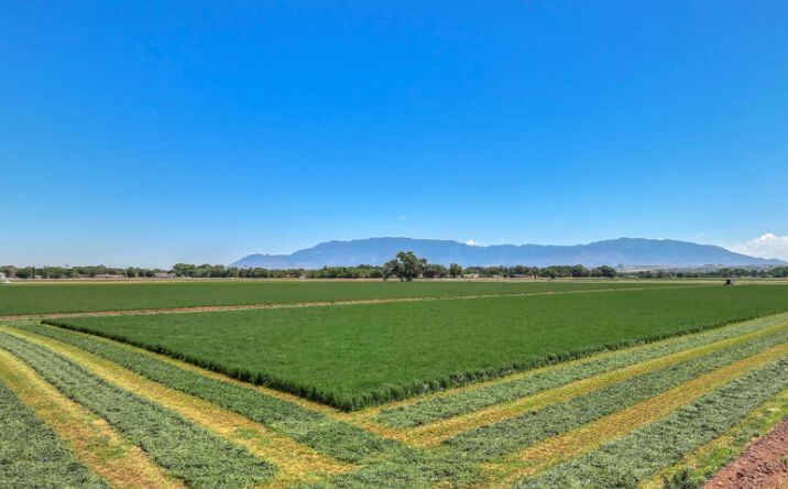 Pictures of Land property located at NHN Las Estancias Dr SW, Albuquerque, NM 87105 for sales - image #1