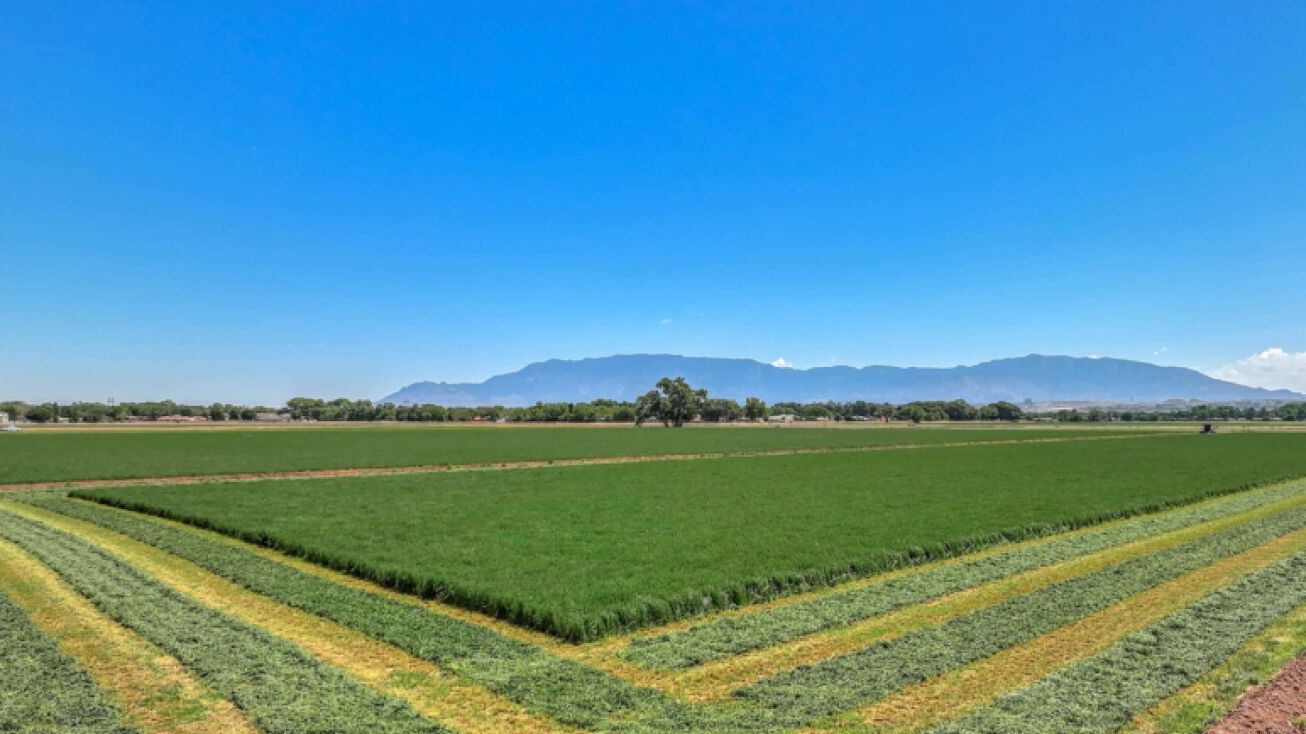 NHN Las Estancias Dr SW, Albuquerque, NM 87105