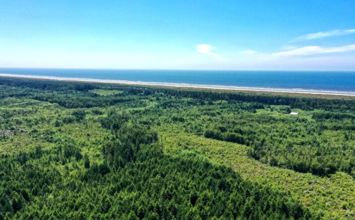 Pictures of Land property located at 2850 State Route 109, Copalis Beach, WA 98569 for sales - image #1