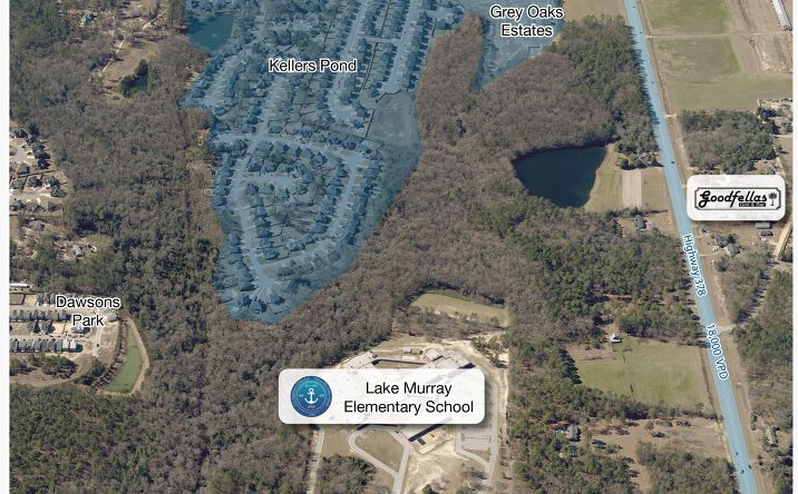 Pictures of Land property located at 378 West Hwy, Lexington, SC 29072 for sales - image #1
