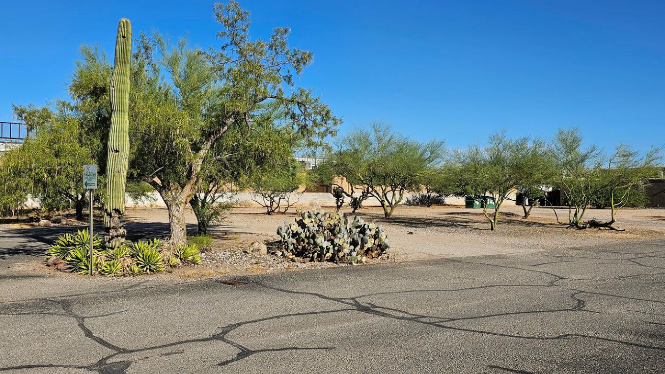 513 W Wetmore Rd, Tucson, AZ 85705