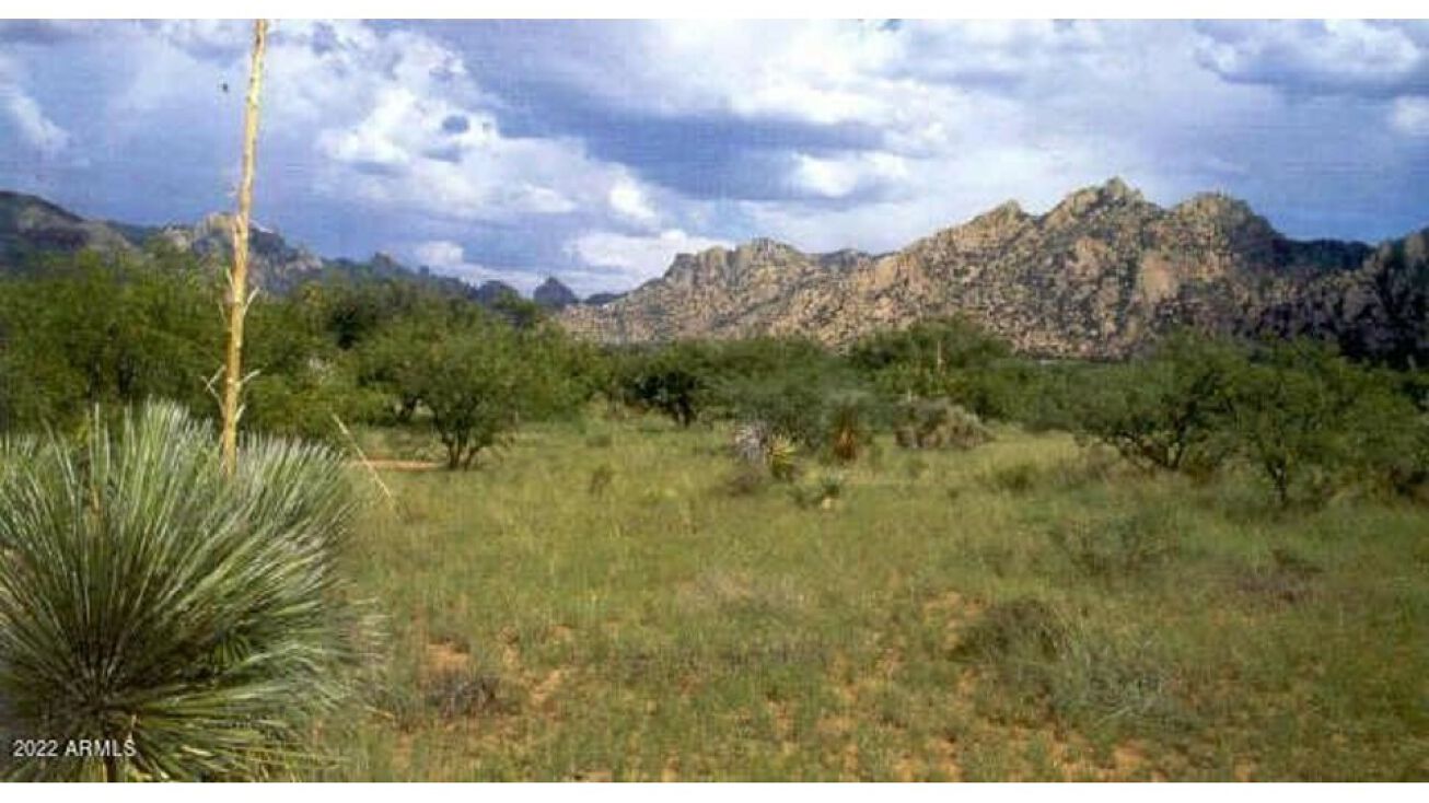 18 E HERON Place, Saint David, AZ 85630