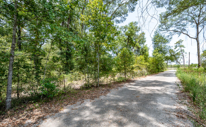 Pictures of Land property located at 25111 Buck Rd, Splendora, TX 77372 for sales - image #1