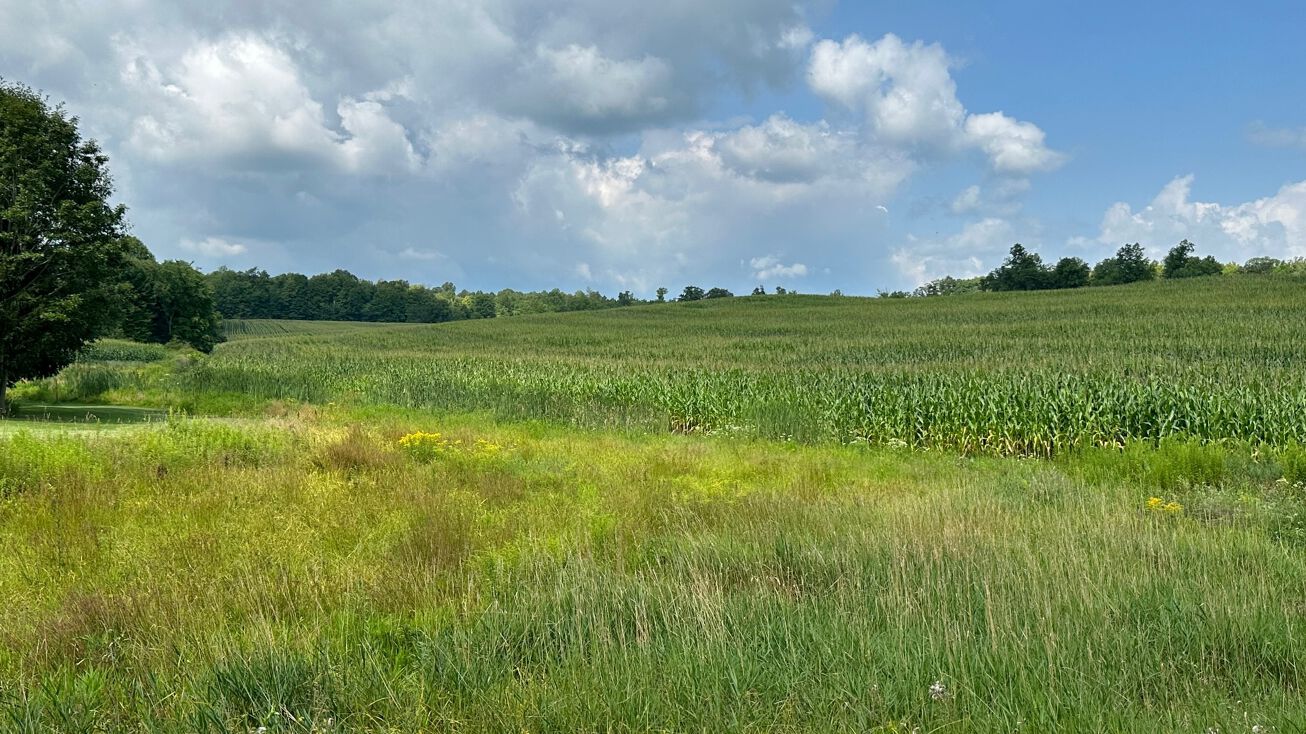 Mumford Rd, Hiram, OH 44236