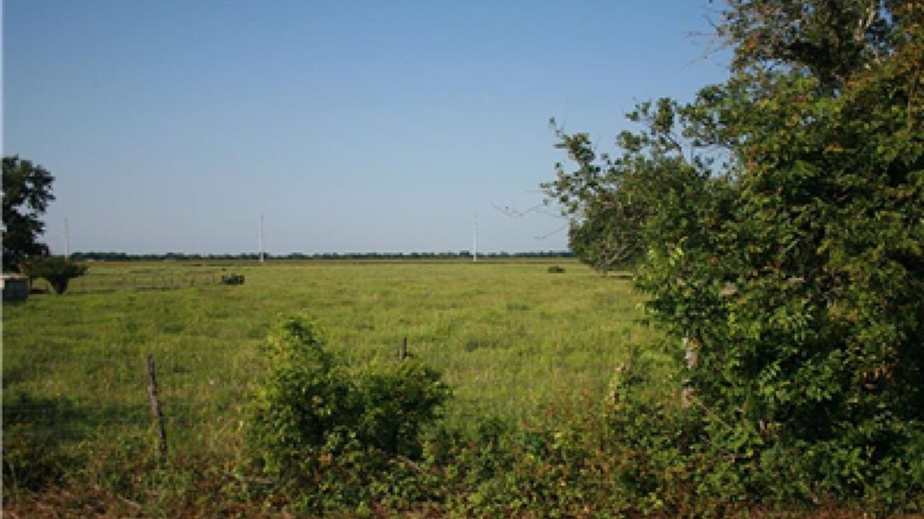 TBD Hwy 36 S, Wallis, TX 77485