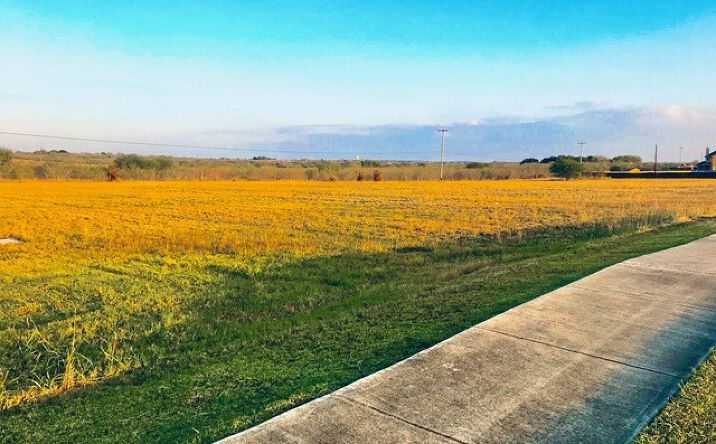 Pictures of Land property located at Hallie Heights, Schertz, TX 78154 for sales - image #1