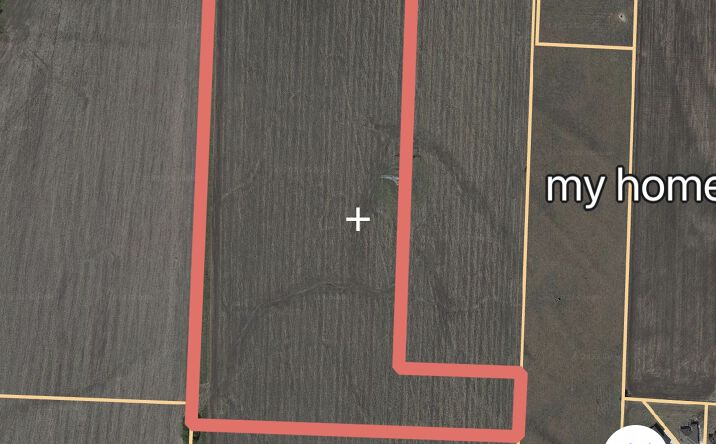Pictures of Land property located at Co Rd 596, Nevada, TX 75173 for sales - image #1