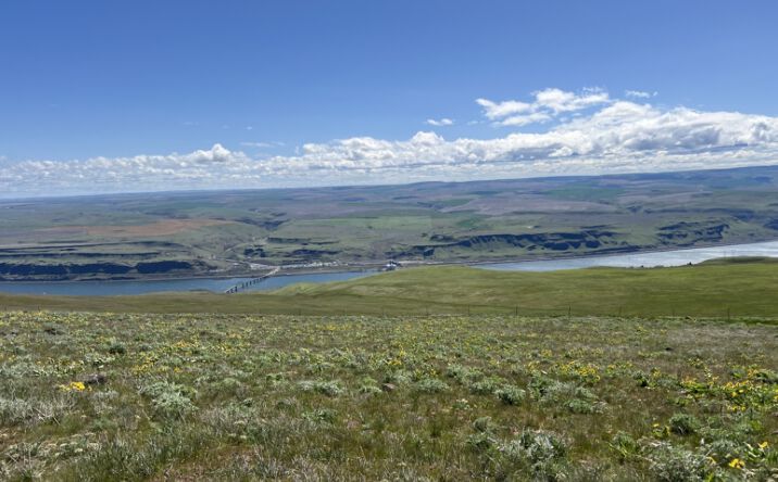 Pictures of Land property located at 9650 Highway 14, Goldendale, WA 98620 for sales - image #1