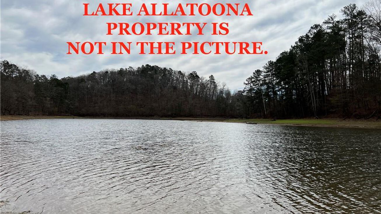 16 Hawks Branch Ln, White, GA 30184