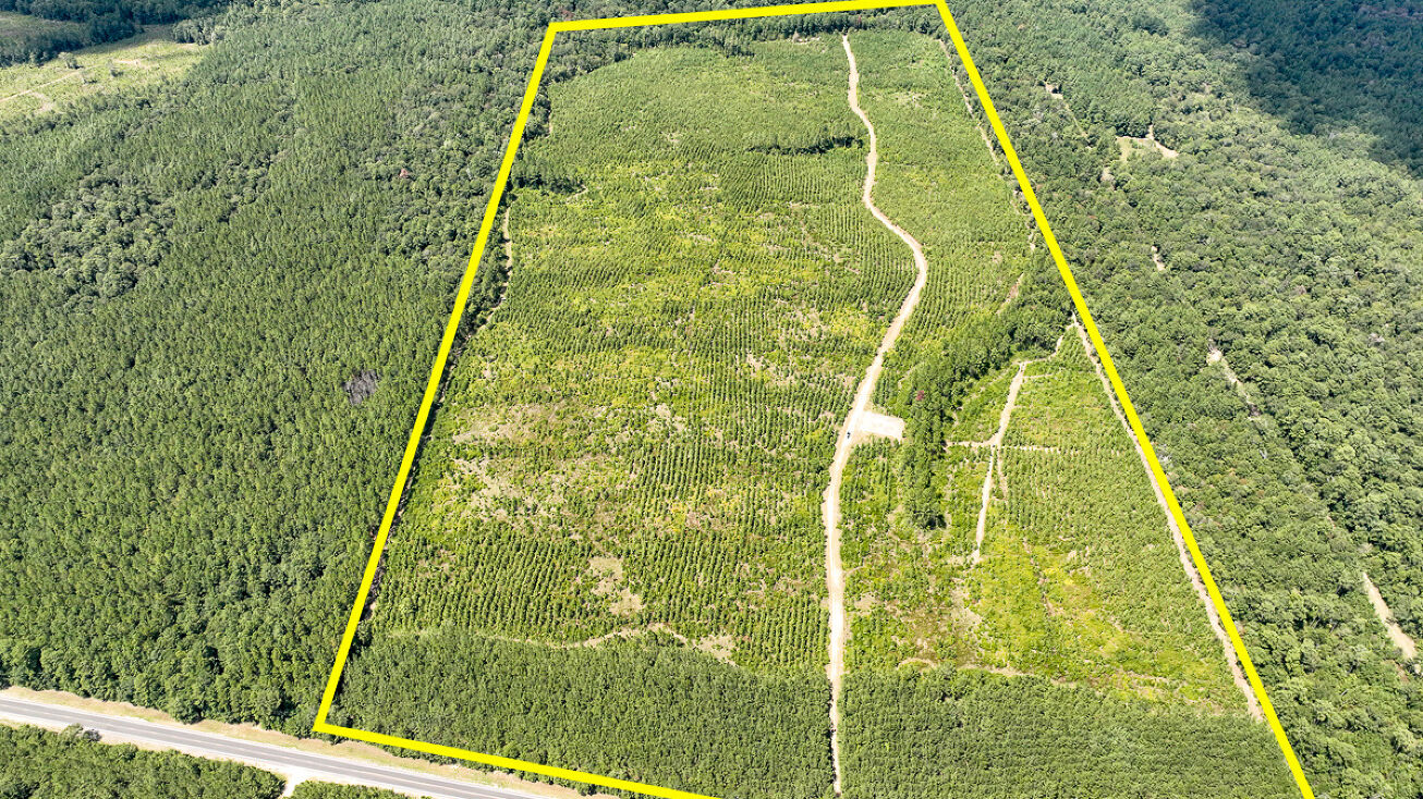 0 FM 943, Kountze, TX 77625