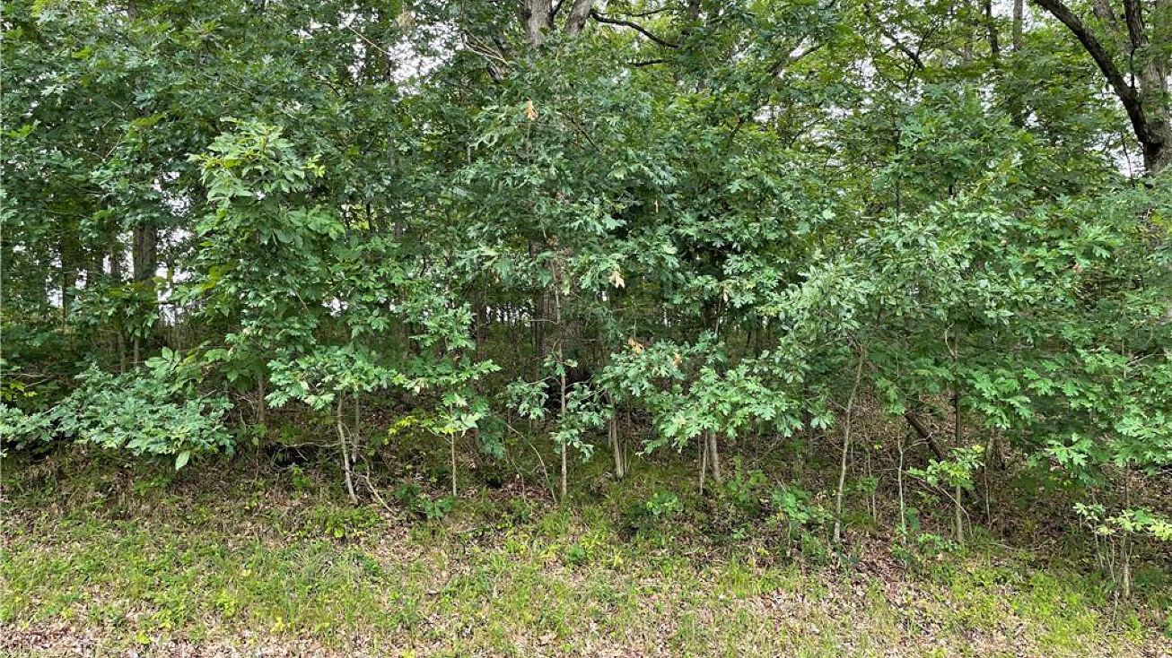Lake Viking Ter Lot 1101, Gallatin, MO 64640