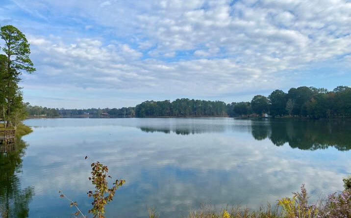Pictures of Land property located at Rock Ranch Rd, Carriere, MS 39426 for sales - image #1