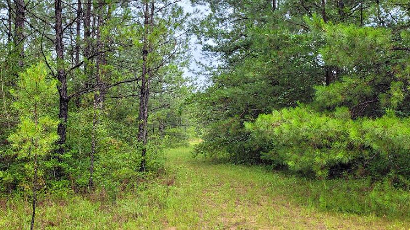 5N of Hwy 26, Mashpee, MA 02649