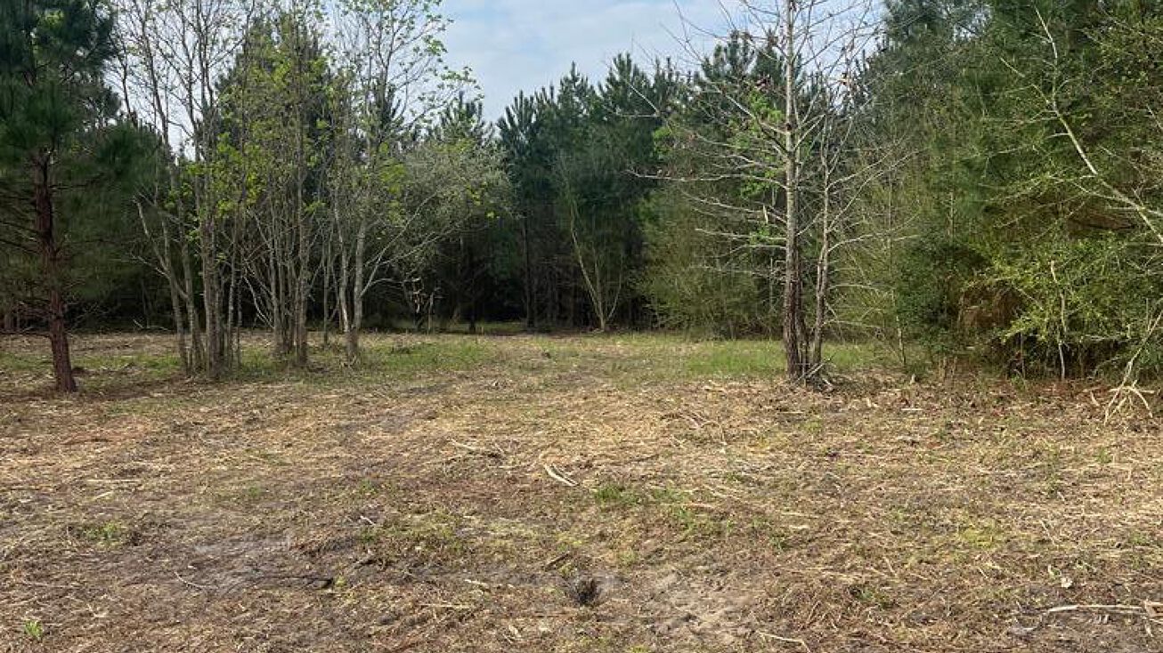 4S of Hwy 26 & N of McNeill Henleyfield Rd, Carriere, MS 39426