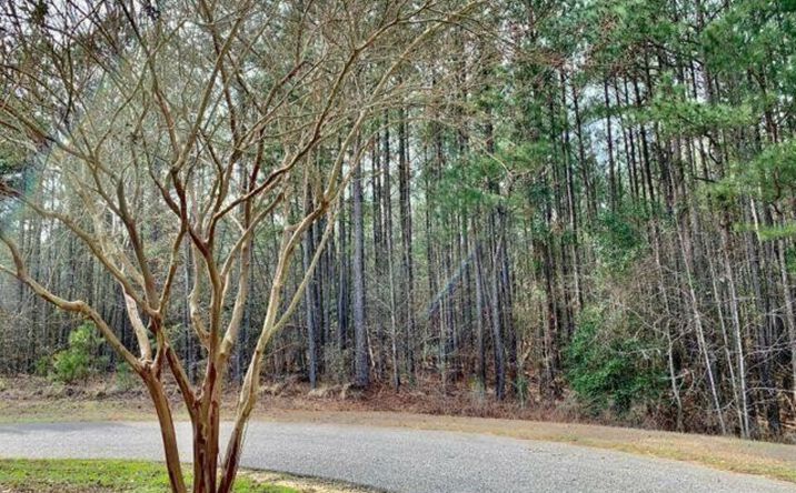Pictures of Land property located at 141 N State Ln, Rockingham, NC 28379 for sales - image #1